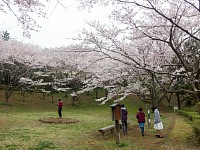 お花見広場