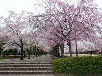 宝野公園