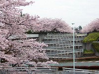 向こうは奈良原公園