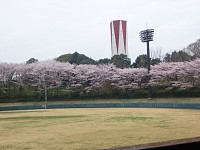 一本杉公園球場