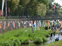 最後に鶴見川の鯉のぼりを見てきた、子供の日だし。