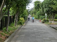 下河原緑道。かつての国鉄下河原線（国分寺～多摩川）の廃線跡地