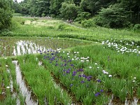 入場は16時まで、閉園16:30．ぎりぎりでした