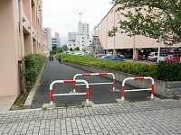 ケーズデンキ横の歩道から下河原緑道が始まる