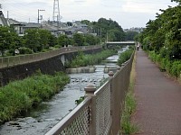 恩田川。桜で有名なのはもう少し上流のようだ