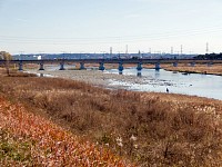 久しぶりの多摩川サイクリングロード。それなりに自転車は多い