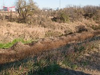 最近、一部のマニアで人気の池（水たまり）