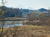 多摩サイからの富士山