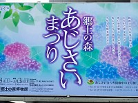 府中市郷土の森は28日からあじさいまつり