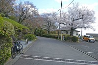 87