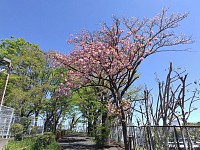 04