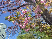 05