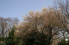 20060321_006