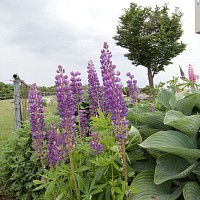 F4.6