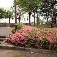 XebvY[B5.1mm