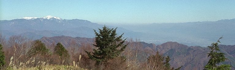 momiji5.jpg