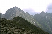 䂩O