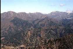 takaga2_w250.jpg